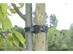 COLLIER ARBRE 55CM