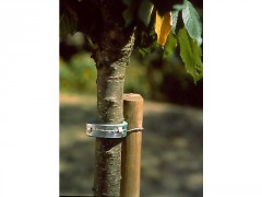 COLLIER MOUSSE LIEN METAL 60CM POUR ARBRE 30CM
