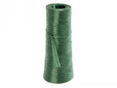 RAPHIA SYNTHETIQUE 100G
