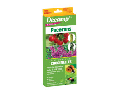 PIEGE COCCINELLE ANTI-PUCERON PACK PREPAYE