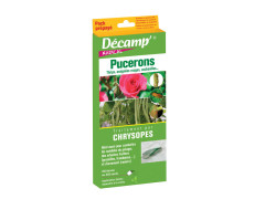 PIEGE CHRYSOPE ANTI-PUCERON/TRIPS PACK PREPAYE
