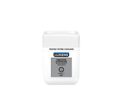 TESTEUR PEINTURE INTERIEURE GRIS GRANIT 3 LUXENS MAT 0.05L