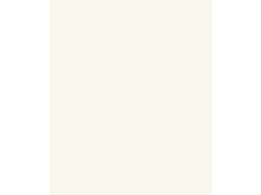 PAPIER PEINT VINYLE INTISSE BETON METAL BLANC BLANC 0 INSPIRE
