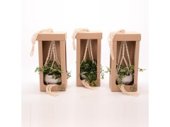 PLANTE SUSPENSION CERAMIQUE