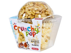 FRIANDISE RONGEUR CRUNCHY POP CORN BANANE 63G