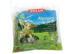 FOIN ALPAGES PREMIUM 500G
