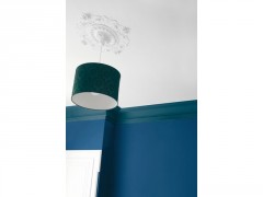 PEINTURE SPECIALE PLAFOND PERFECTION 5L