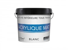 PEINTURE MURS ET PLAFONDS MAT 12L 1P