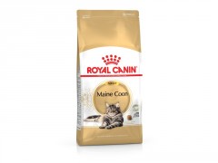CROQUETTE CHAT ROYAL CANIN MAINE COON ADULT 4KG