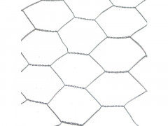 GRILLAGE ANIMAUX HEXA GAL 40MM 0.5X3M