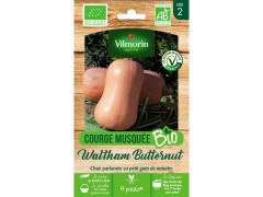 GRAINE POTAGERE COURGE WALTHAM BUTTERNUT BIO VILMORIN 2G