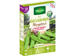 POIS GEANT FLEUR VIOLETTE BOITE SERIE 10M VILMORIN