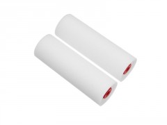 RECHARGE VERNIS/RESINE 110MM X2 DEXTER