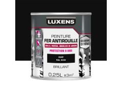 PEINTURE FER EXTERIEUR NOIR BRILLANT 0,25L