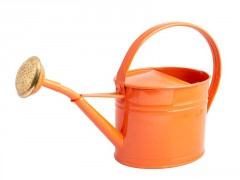 ARROSOIR AC GALVA OV 1,75L ROU