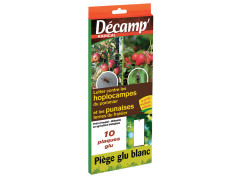 PIEGE GLU HOPLOCAMPE POMMIER/PUNAISE TERNE FRAISIER
