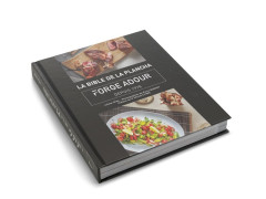 LIVRE DE RECETTE LA BIBLE DE LA PLANCHA FORGE ADOUR
