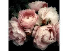 TOILE ROMANTIC FLOWER 30X30