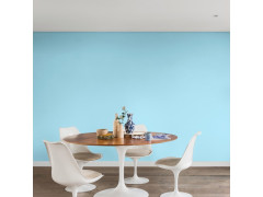 PEINTURE M/B  CREME DE COULEUR DULUX VALENTINE BL REVEUR SATINE 0.5 L
