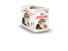 PATEE CHAT ROYAL CANIN AGEING12+ SAUCE 12X85G