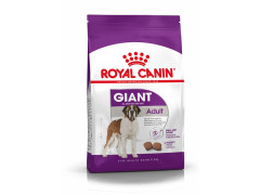 CROQUETTE CHIEN ROYAL CANIN GIANT ADULT 15KG