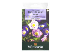 BELLE DE JOUR VARIEE SACHET SERIE 1 VILMORIN