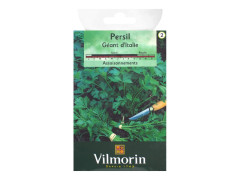PERSIL COMMUN GEANT D ITALIE SACHET SERIE 2 VILMORIN
