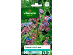 BOURRACHE OFFICINALE SACHET SERIE 1 VILMORIN