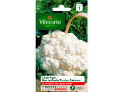 CHOU FLEUR MERVEILLE DE TOUTES SAISONS SACHET SERIE 1 VILMORIN