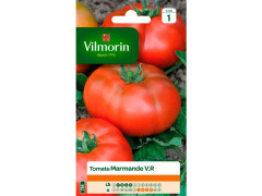 TOMATE MARMANDE SACHET SERIE 1 VILMORIN