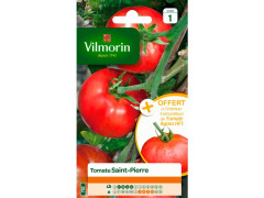TOMATE SAINT PIERRE + ECHANTILLON TOMATE AGORA SACHET SERIE 1 VILMORIN