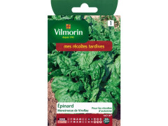 EPINARD MONSTRUEUX DE VIROFLAY SACHET SERIE 1 VILMORIN