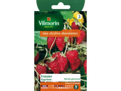 FRAISIER DES 4 SAISONS SUPREME SACHET SERIE 2 VILMORIN