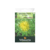 CHICOREE FRISEE DE RUFFEC SACHET SERIE 1 VILMORIN