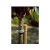 COLLIER MOUSSE LIEN METAL 60CM POUR ARBRE 30CM