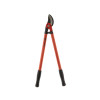 COUPE BRANCHES BOIS VERT 60CM