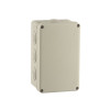 BOITE DE DERIVATION ETANCHE SAILLIE IP55 170X100 P80 GRIS