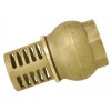 CREPINE POUR POMPE LAITON 33X42