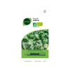 ROQUETTE CULTIVEE BIO GEOLIA