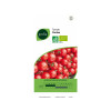 TOMATE CERISE BIO GEOLIA