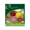 BULBE RANONCULUS MELANGE 5/6 SACHET 20