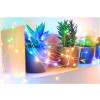 GUIRLANDE LUMINEUSE INT EXT 150 MICROLED MULTICOLOR CABLE ARGENT 7.5M