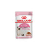 PATEE CHAT ROYAL CANIN KITTEN SAUCE 85G