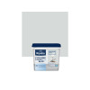 PEINTURE MURALE CUISINE ET BAIN RIPOLIN GRIS SOURIS 0.75 LITRE