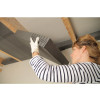 ISOLANT POLY EXPANSE POUR POSE ENTRE CHEVRON 120X46X7