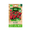 FRAISIER DES BOIS SACHET SERIE 2 VILMORIN