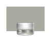 PEINTURE MEUBLES ET OBJETS CASEINE LIBERON GRIS FLAMAND 75ML