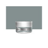 PEINTURE MEUBLES ET OBJETS CASEINE LIBERON GRIS GUSTAVIEN 75ML