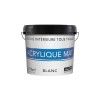 PEINTURE MURS ET PLAFONDS MAT 12L 1P