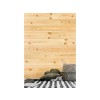 LAMBRIS PIN MARITIME NOUEUX 200X100X10 2M²